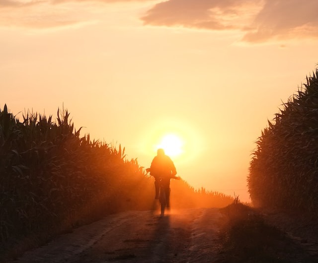 cycliste roulant vers le soleil couchant
