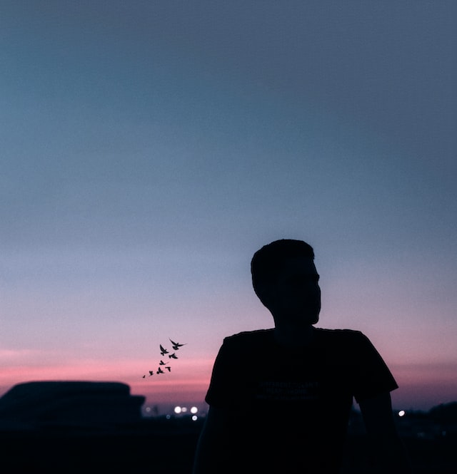silhouette d'homme se découpant sur un ciel crépusculaire avec un vol d'oiseaux à l'horizon